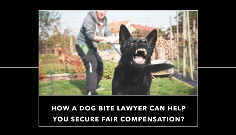 Dog Bite Lawyer